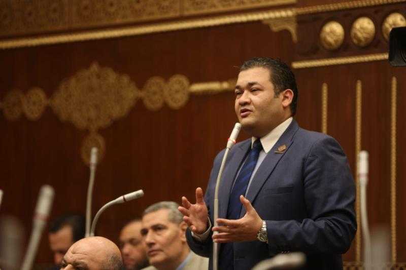 نائب التنسيقية يدعو لتفعيل مقترح ربط ترخيص الشركات من خلال العنوان الإلكتروني دون التقيد بوجود مقر
