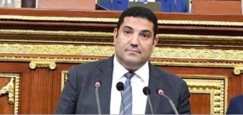  الدكتور أحمد عبد المجيد، وكيل اللجنة