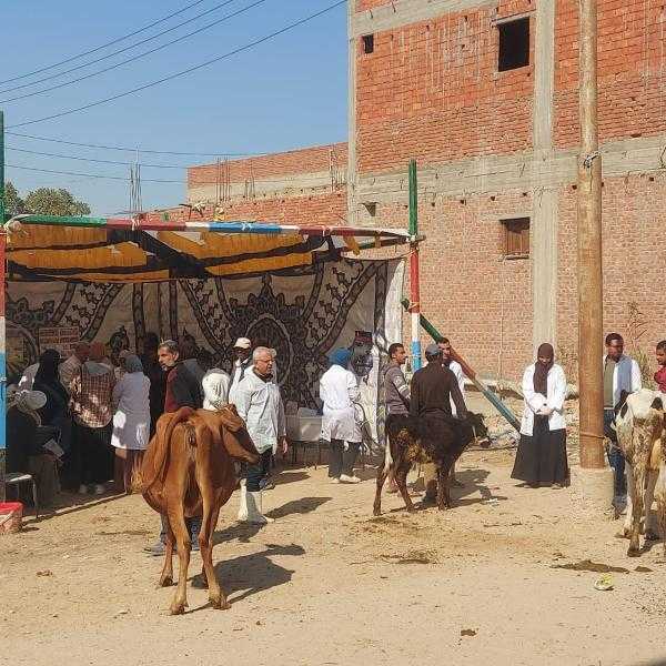 قافلة شاملة من جامعة قناة السويس فى قرية چنيفه بالسويس لتقديم الخدمات الطبية والبيطرية والزراعية والتوعوية