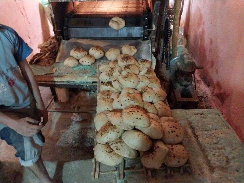 تموين الأقصر: ضبط 2 طن علف دواجن و 750 قرص مشبك مجهول المصدر