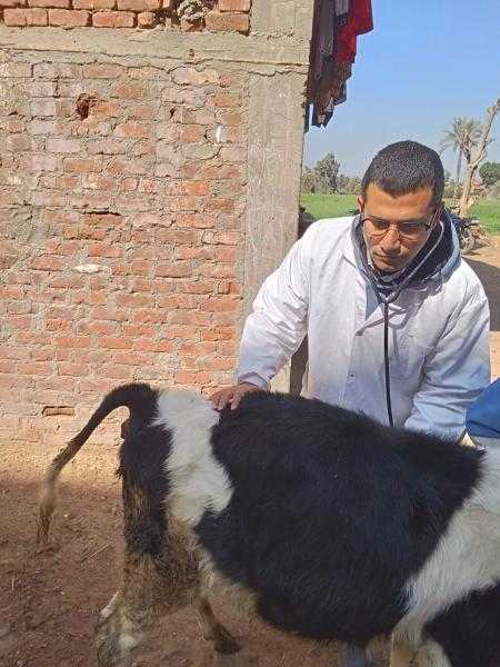 كلية الطب البيطري بجامعة الزقازيق توجه قافلة مجانية لقرية حوض الندى بمركز بلبيس بالشرقية