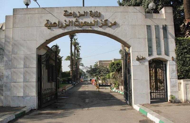 البحوث الزراعية ينظم ورشة عمل حول «الاستشعار عن بعد ونظم المعلومات وخدمة الزراعة الذكية»