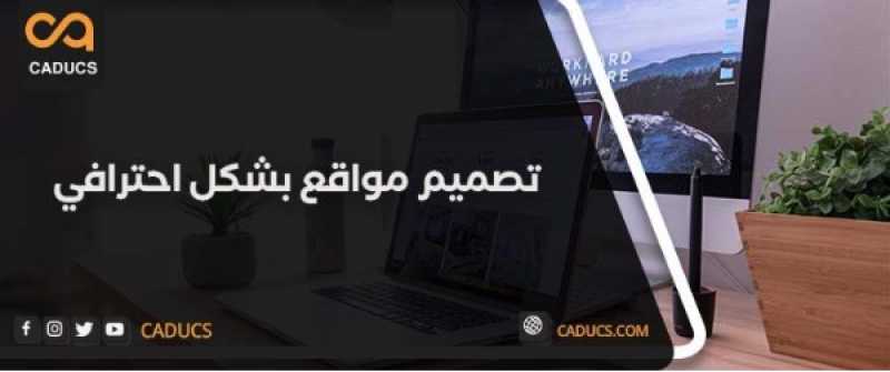 تصميم مواقع احترافية من الألف للياء لشركتك أو مؤسستك أو مشروعك