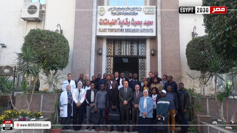 وقاية النباتات