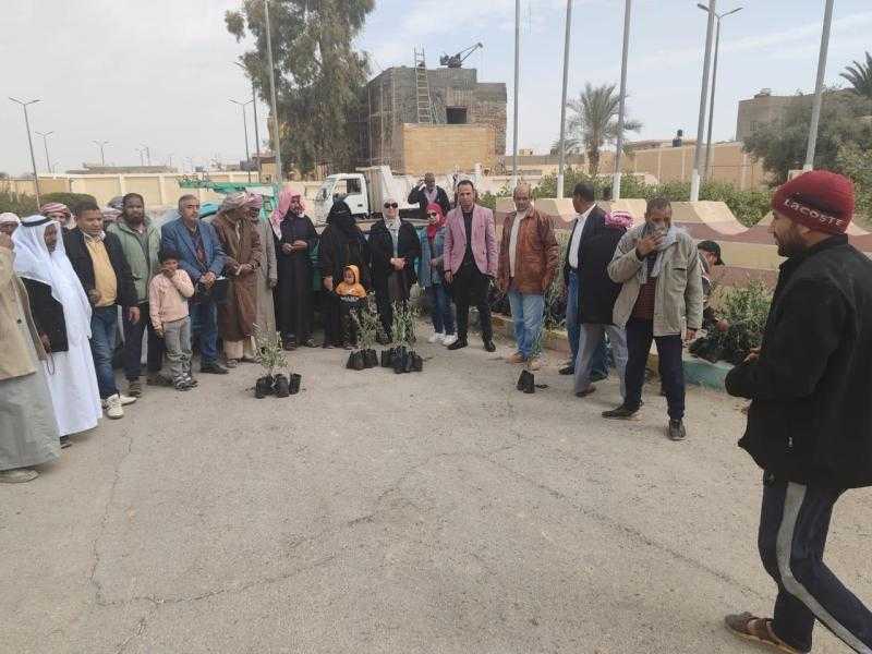 بحوث الصحراء يدعم مزارعي وسط سيناء بـ 5 آلاف شتلة زيتون ضمن خطة التوسع الزراعي