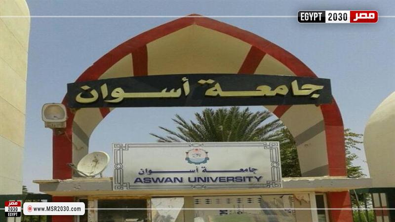 جامعة أسوان