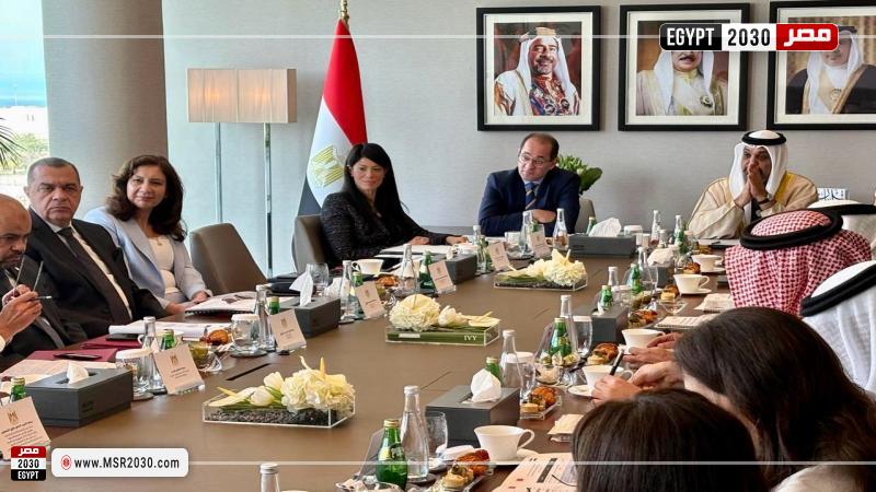 وزيرة التخطيط والتعاون الدولي