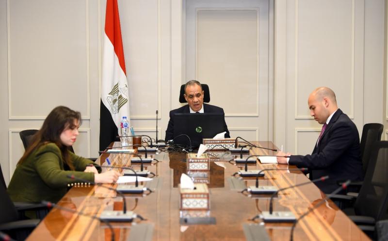 وزير الخارجية والهجرة يشارك في اللقاء الافتراضي مع الجالية المصرية في فرنسا