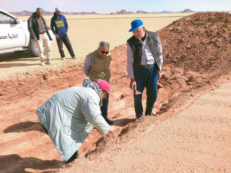 بحوث الصحراء يواصل جهوده في حصر وتصنيف الأراضي الصحراوية بمنطقة توماس وعافية في توشكى