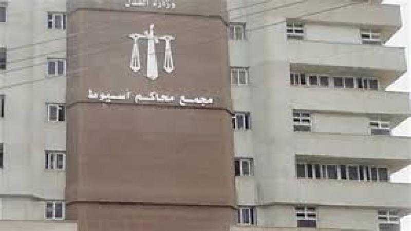حكم قضائى بإحالة أوراق شقيقين لفضيلة المفتي في أسيوط