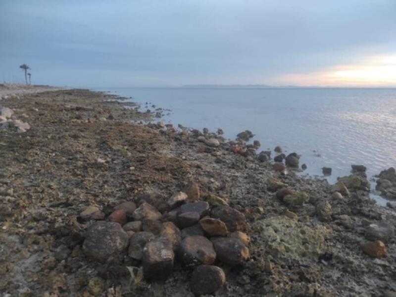 انحسار مياه البحر على شواطئ الجبيل بطور سيناء