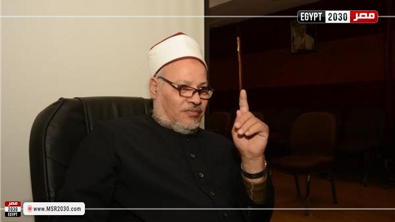 الدكتور إبراهيم الهدهد