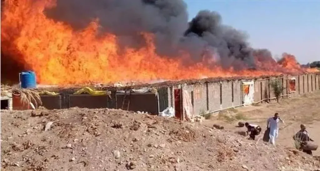 حريق مزرعة دواجن