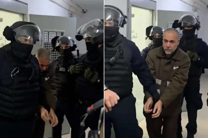  الدكتور أبو صفية