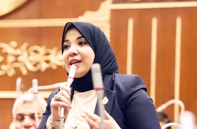 الدكتورة دينا هلالي، عضو مجلس الشيوخ