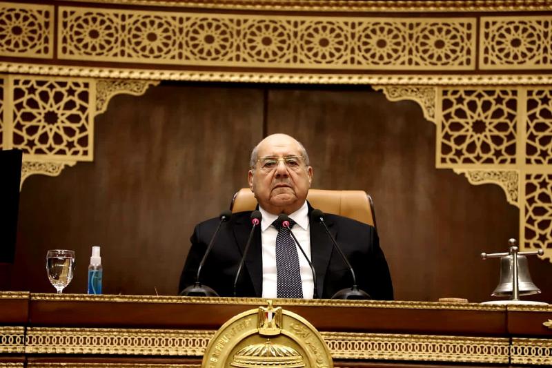 مجلس الشيوخ برئاسة المستشار عبدالوهاب عبدالرازق