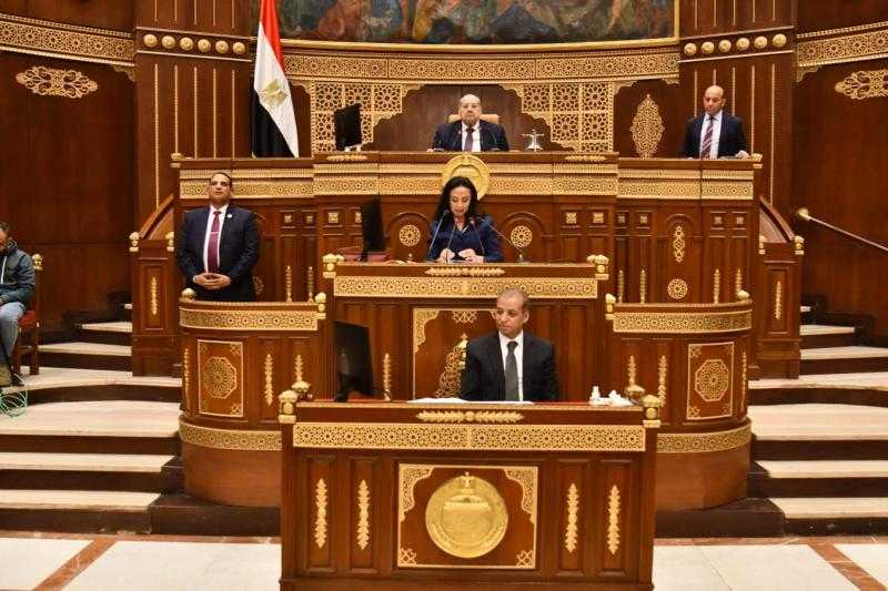 برلمانية: مصر قوية برئيسها وجيشها وشعبها الواثق في القيادة الحكيمة