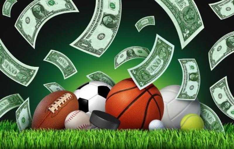 How to choose a bookmaker for betting in Egypt