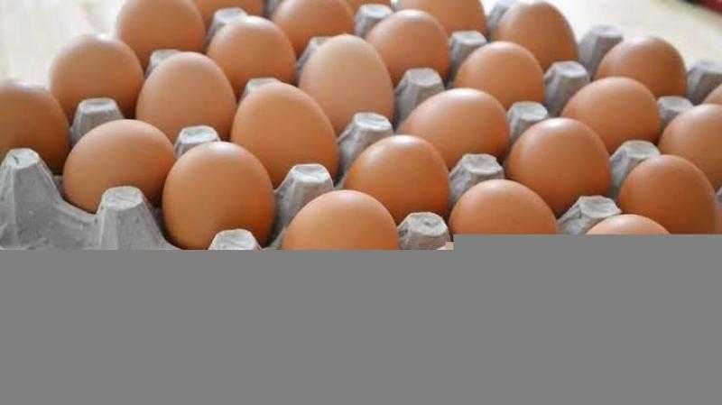 سعر كرتونة البيض اليوم الأربعاء بالمزرعة.. وصلت لكام