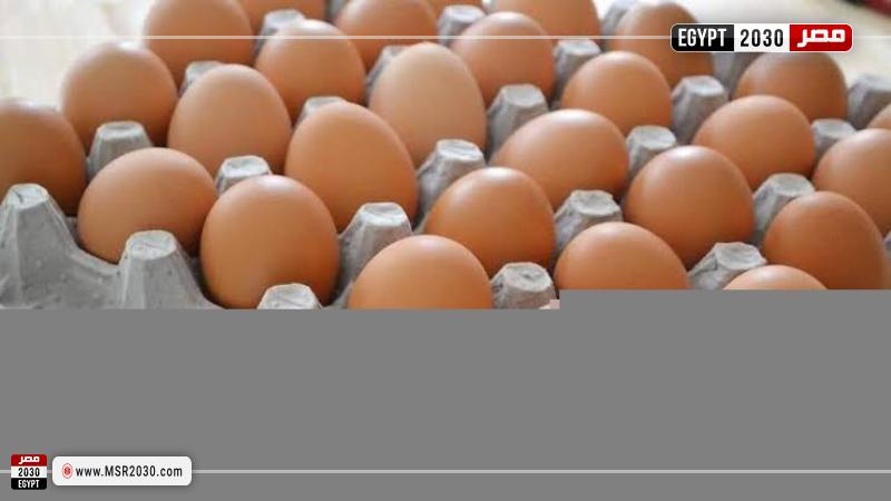 أسعار البيض اليوم