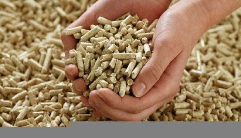 سعر شيكارة العلف اليوم الأحد عند التاجر.. مين هيخزن