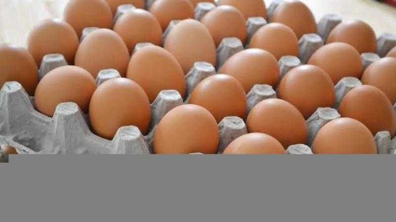 سعر كرتونة البيض اليوم الأربعاء بالمزرعة.. وصلت لكام