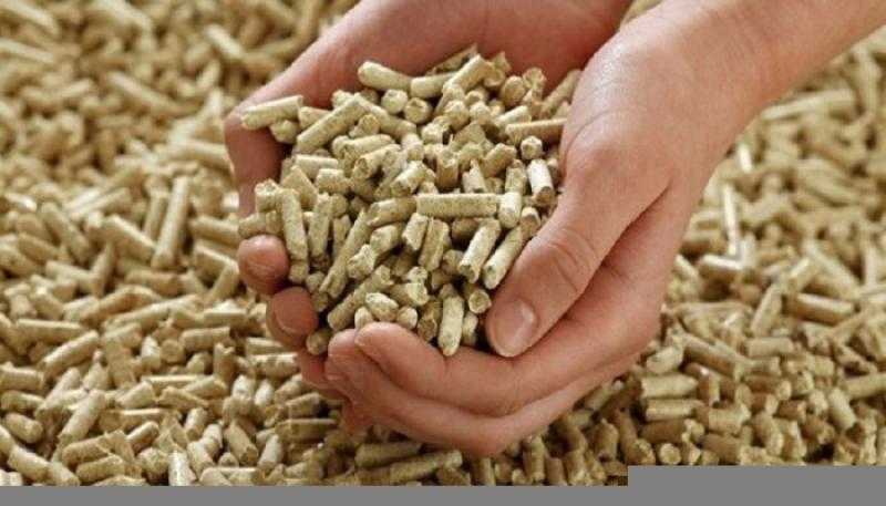 سعر شيكارة العلف اليوم الثلاثاء عند التاجر.. مين هيخزن