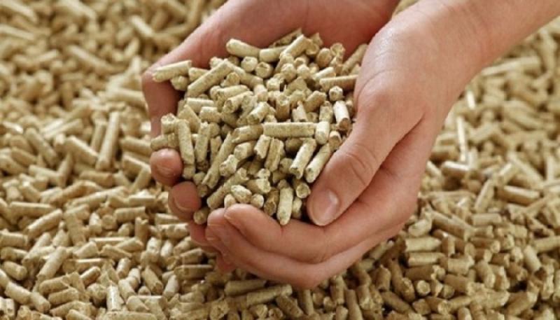 أسعار الأعلاف