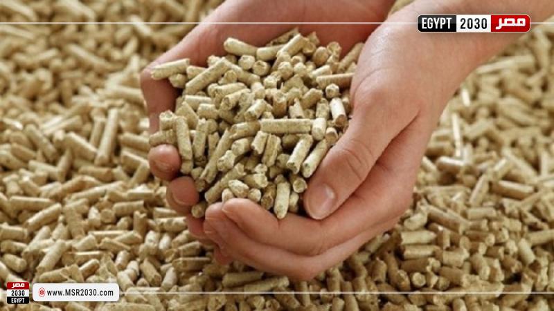 أسعار الأعلاف