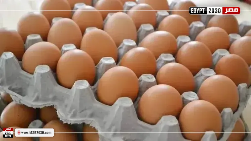أسعار البيض اليوم