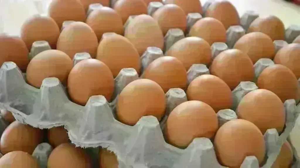 سعر كرتونة البيض اليوم الخميس بالمزرعة.. وصلت لكام