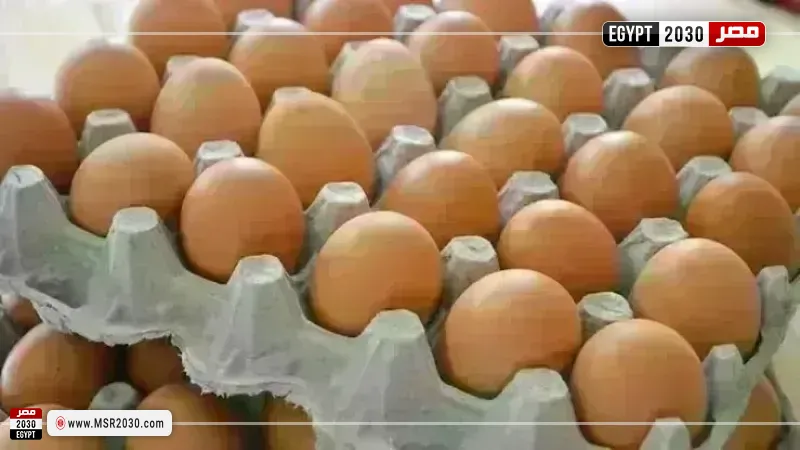 أسعار البيض اليوم