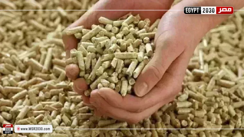 أسعار الأعلاف