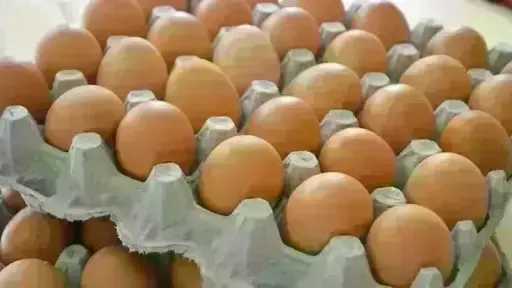 سعر كرتونة البيض اليوم الأربعاء بالمزرعة.. وصلت لكام
