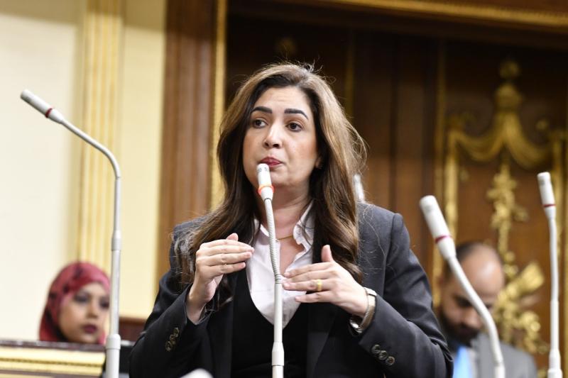 النائبة أميرة العادلي عضو مجلس النواب