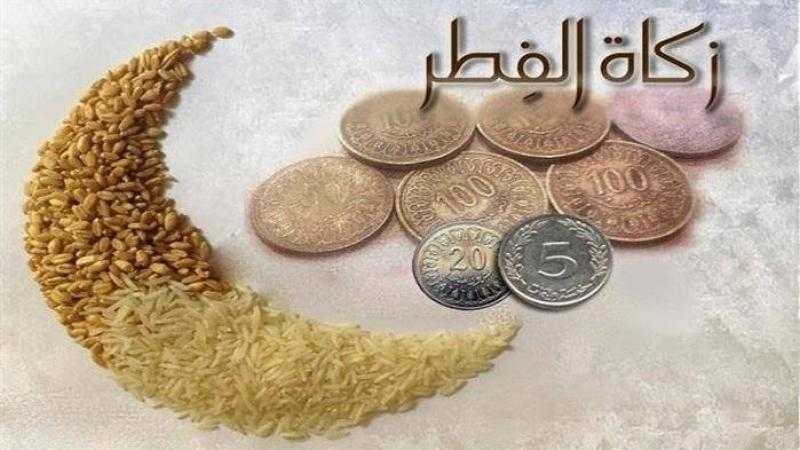 أمين الفتوى: زكاة الفطر تجارة رابحة مع الله