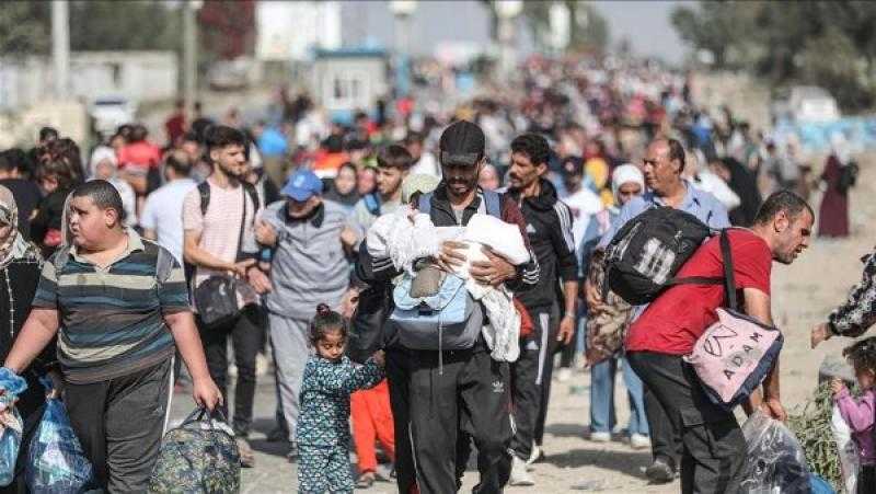 الأمم المتحدة: 142 ألف نازح في غزة خلال أسبوع