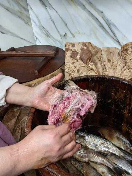 محافظ القاهرة: رفع درجة الاستعداد بمديرية الطب البيطري لاستقبال عيد الفطر المبارك