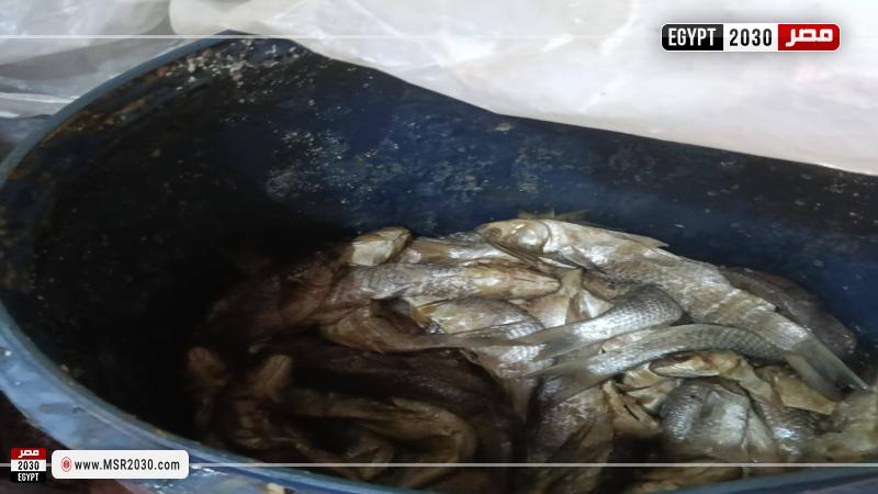 حملة تموينية تضبط 6 أطنان لحوم وفسيخ وسردين غير صالحة