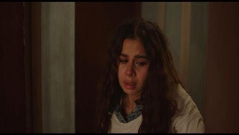 مسلسل وتقابل حبيب 