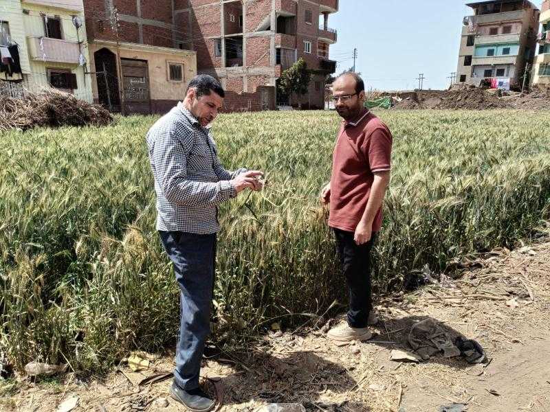 الإدارة المركزية للإرشاد الزراعي تنفذ مجموعة من الأنشطة الزراعية خلال شهر مارس 2025