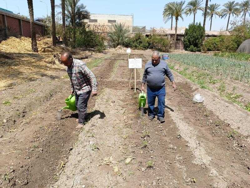الزراعة تعلن حصاد وأنشطة المعمل المركزي للزراعة العضوية في مارس 2025