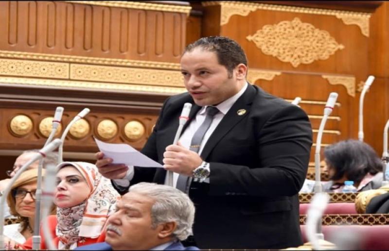  النائب مصطفى سالمان، عضو مجلس الشيوخ