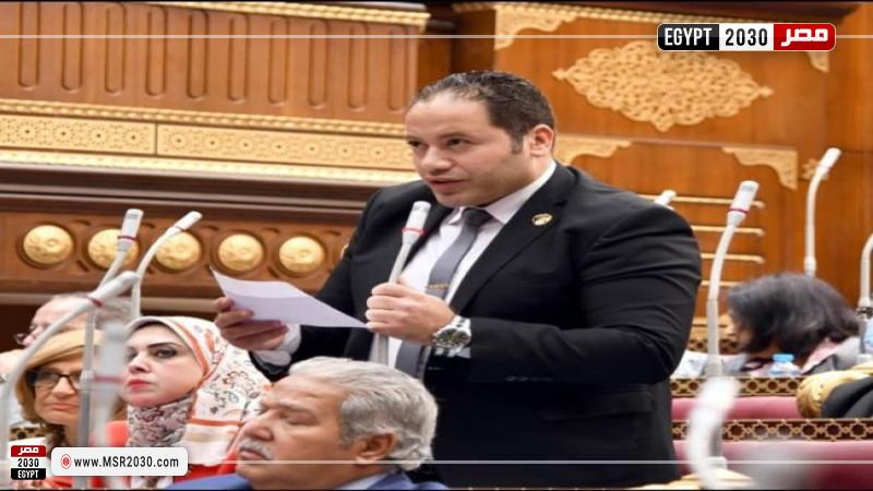 النائب مصطفى سالمان، عضو مجلس الشيوخ