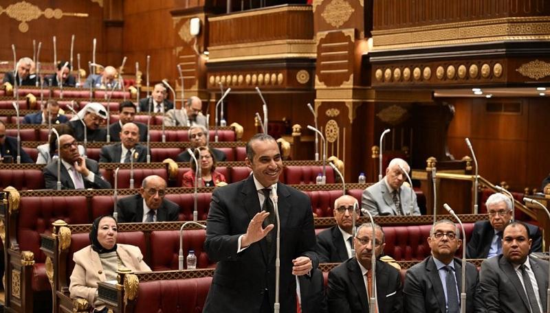 مشاركة المستشار محمود فوزي في الجلسة العامة لمجلس الشيوخ