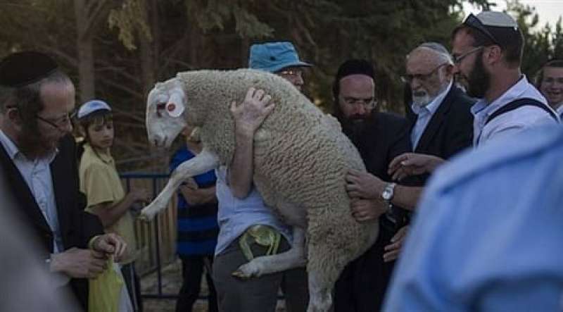 جماعات الهيكل
