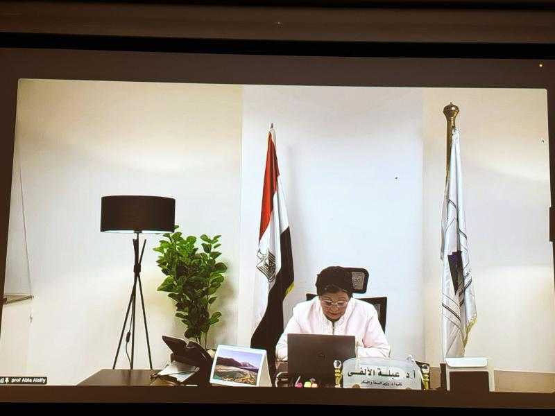 نائب وزير الصحة تشارك افتراضيًا في الدورة 58 للسكان والتنمية بالأمم المتحدة وتستعرض التجربة المصرية في تنمية الأسرة