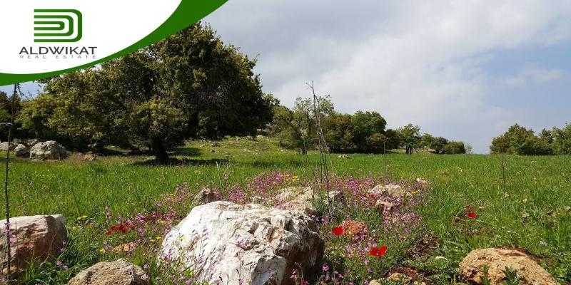 أراضي للبيع في عمان: فرص استثمارية واعدة في قلب الأردن