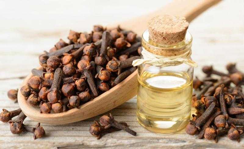 يعالج قرح المعدة.. لن تصدق فوائد القرنفل