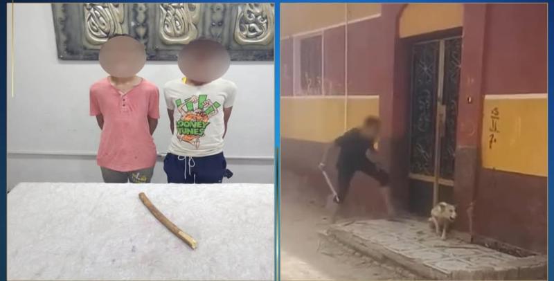 المتهمين 
